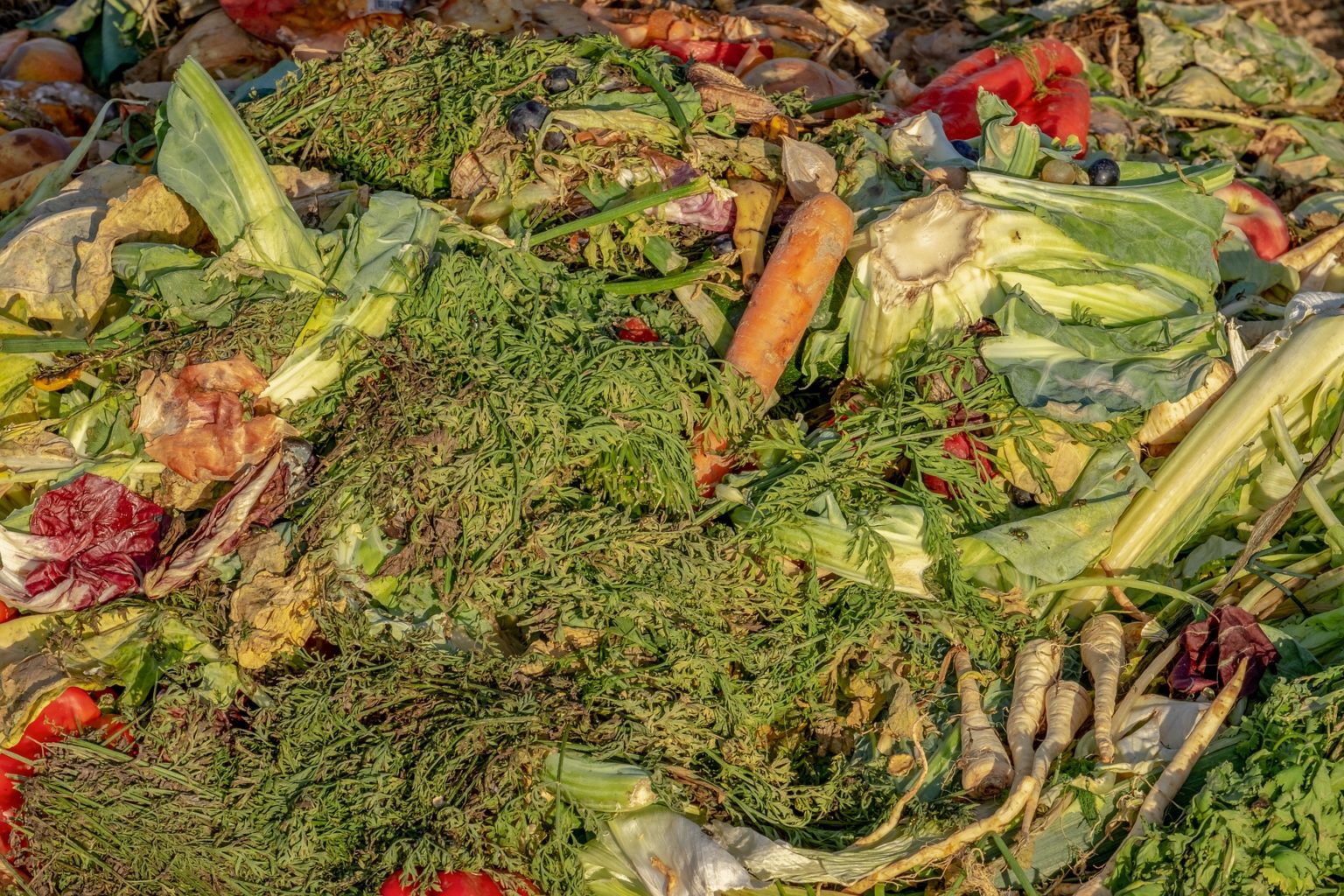 Biodéchets dans un environnement Horeca prêts à être recyclés.