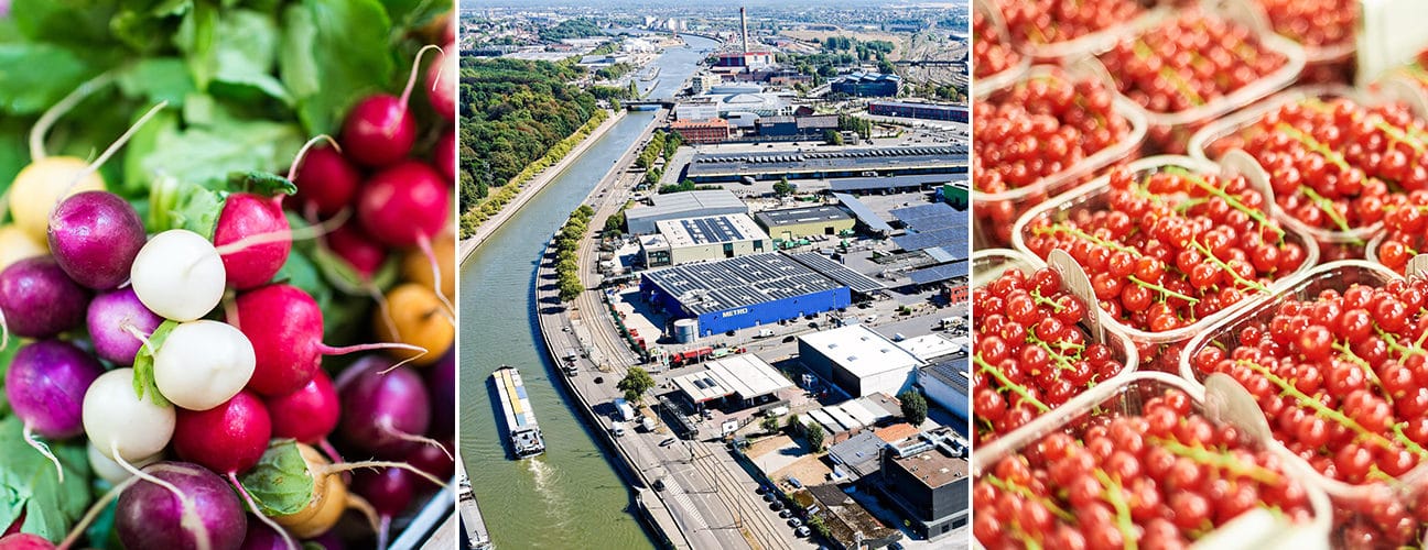Radis colorés, vue aérienne du Quai des Usines et groseilles du marché MaBru